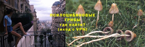 Альфа ПВП Аркадак